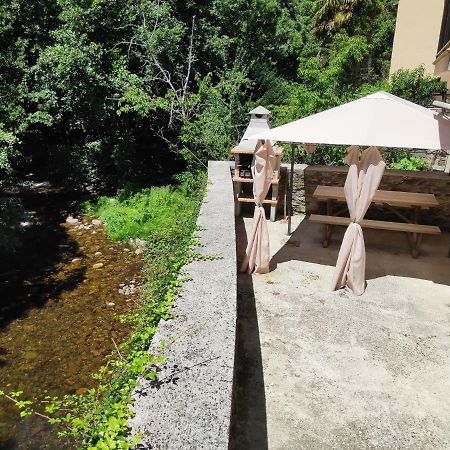 Apartamentos El Rincon De Limes Cangas De Narcea Ngoại thất bức ảnh