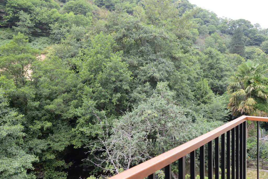 Apartamentos El Rincon De Limes Cangas De Narcea Phòng bức ảnh
