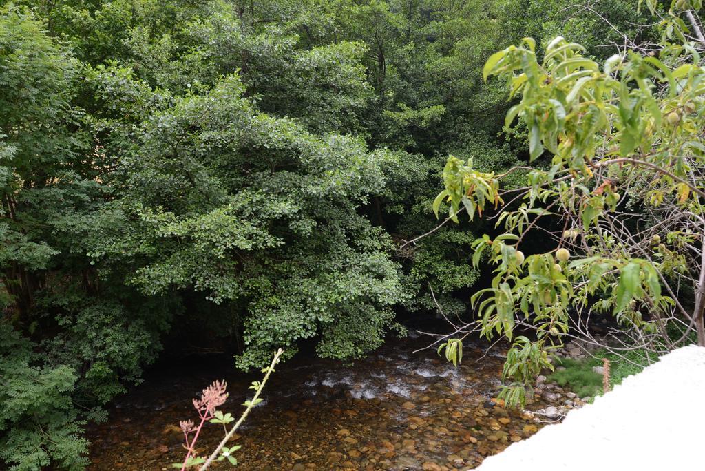 Apartamentos El Rincon De Limes Cangas De Narcea Phòng bức ảnh