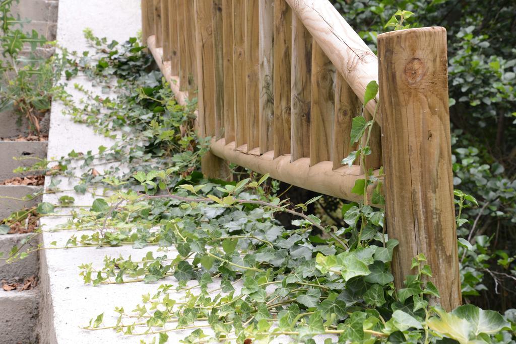 Apartamentos El Rincon De Limes Cangas De Narcea Phòng bức ảnh