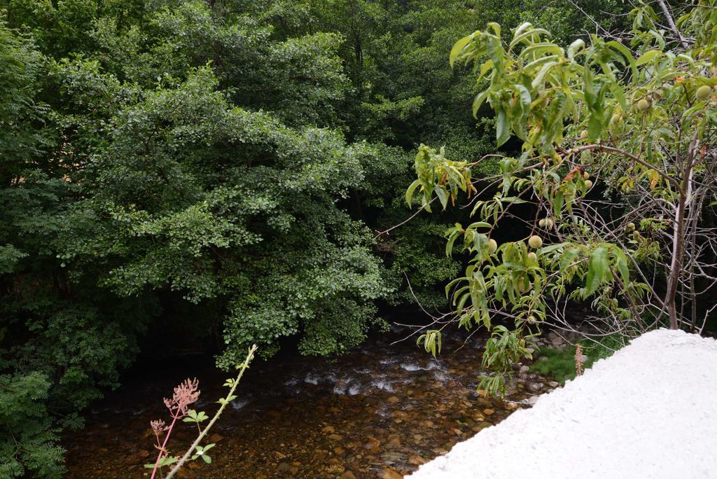 Apartamentos El Rincon De Limes Cangas De Narcea Phòng bức ảnh