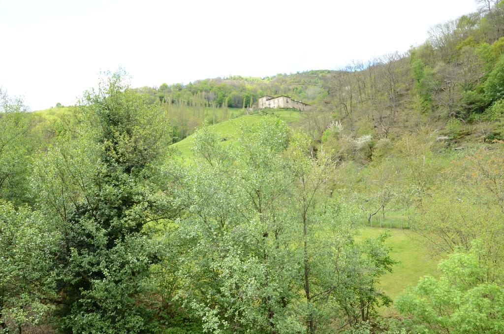 Apartamentos El Rincon De Limes Cangas De Narcea Ngoại thất bức ảnh