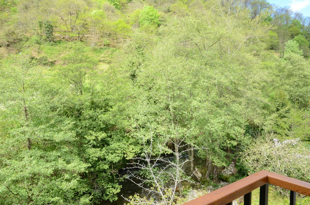 Apartamentos El Rincon De Limes Cangas De Narcea Ngoại thất bức ảnh