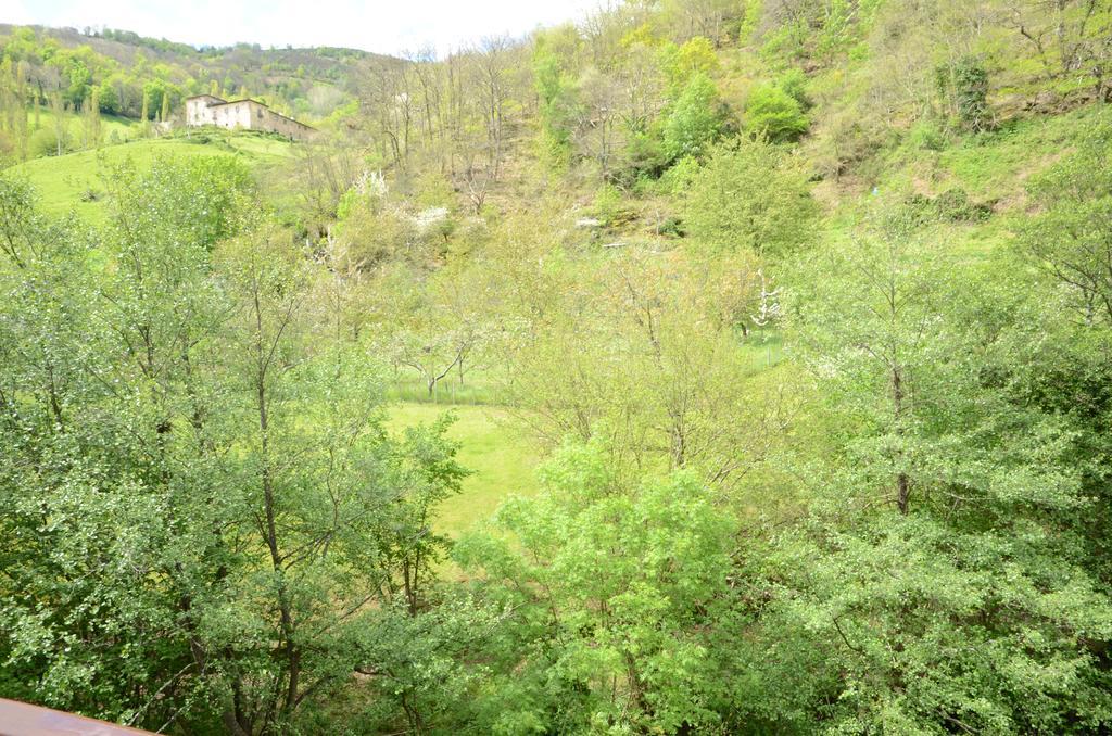 Apartamentos El Rincon De Limes Cangas De Narcea Ngoại thất bức ảnh